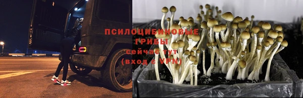 кокаин Покачи