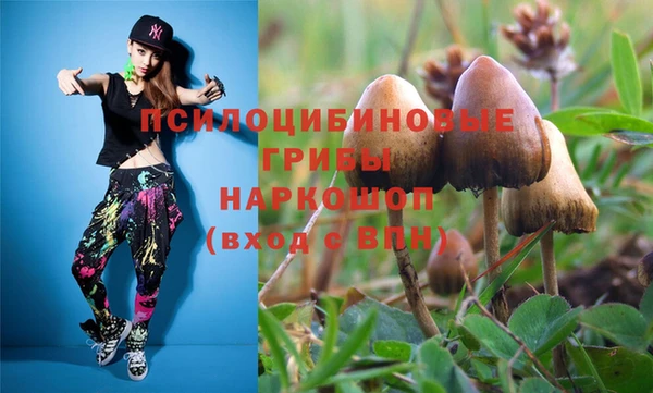 мет Приозерск