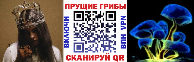 Галлюциногенные грибы мухоморы  Сегежа 