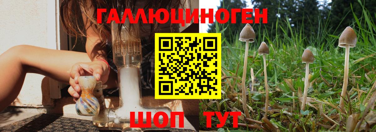Псилоцибиновые грибы Psilocybine cubensis  Вход с VPN  Сегежа 